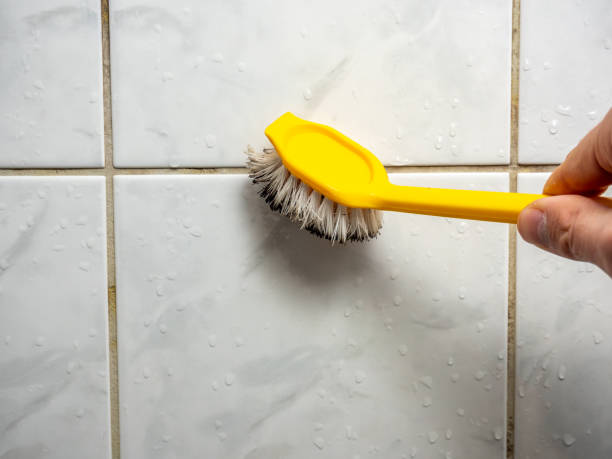 Best Residential Mold Removal  in Carteret, NJ