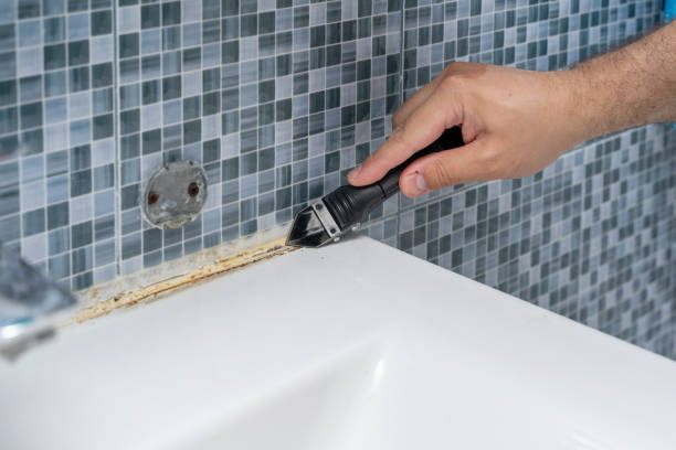 Best Mold Damage Repair  in Carteret, NJ