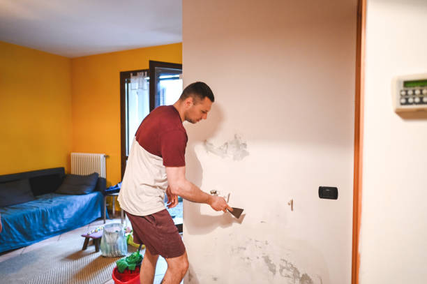 Best Local Mold Removal Service  in Carteret, NJ